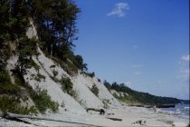 View north along the beach